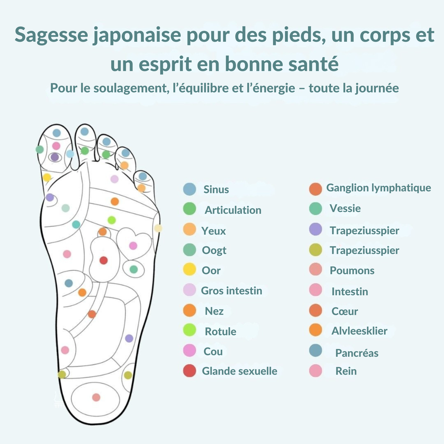 Semelle orthopédique